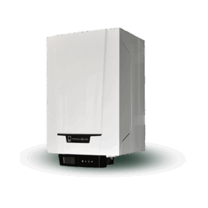 Pardigma caldaia Modugas